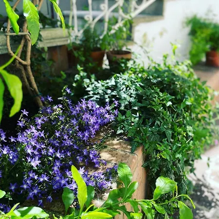 Hébergement de vacances Casa Ripa