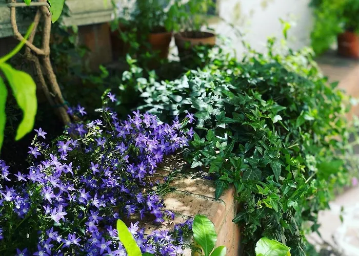 Сasa de vacaciones Casa Ripa